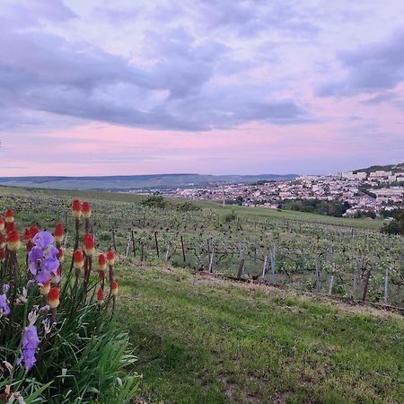 L'Echappee Bulles Lägenhet Épernay Exteriör bild
