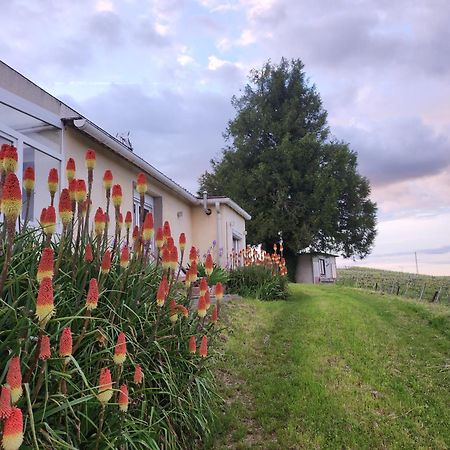 L'Echappee Bulles Lägenhet Épernay Exteriör bild