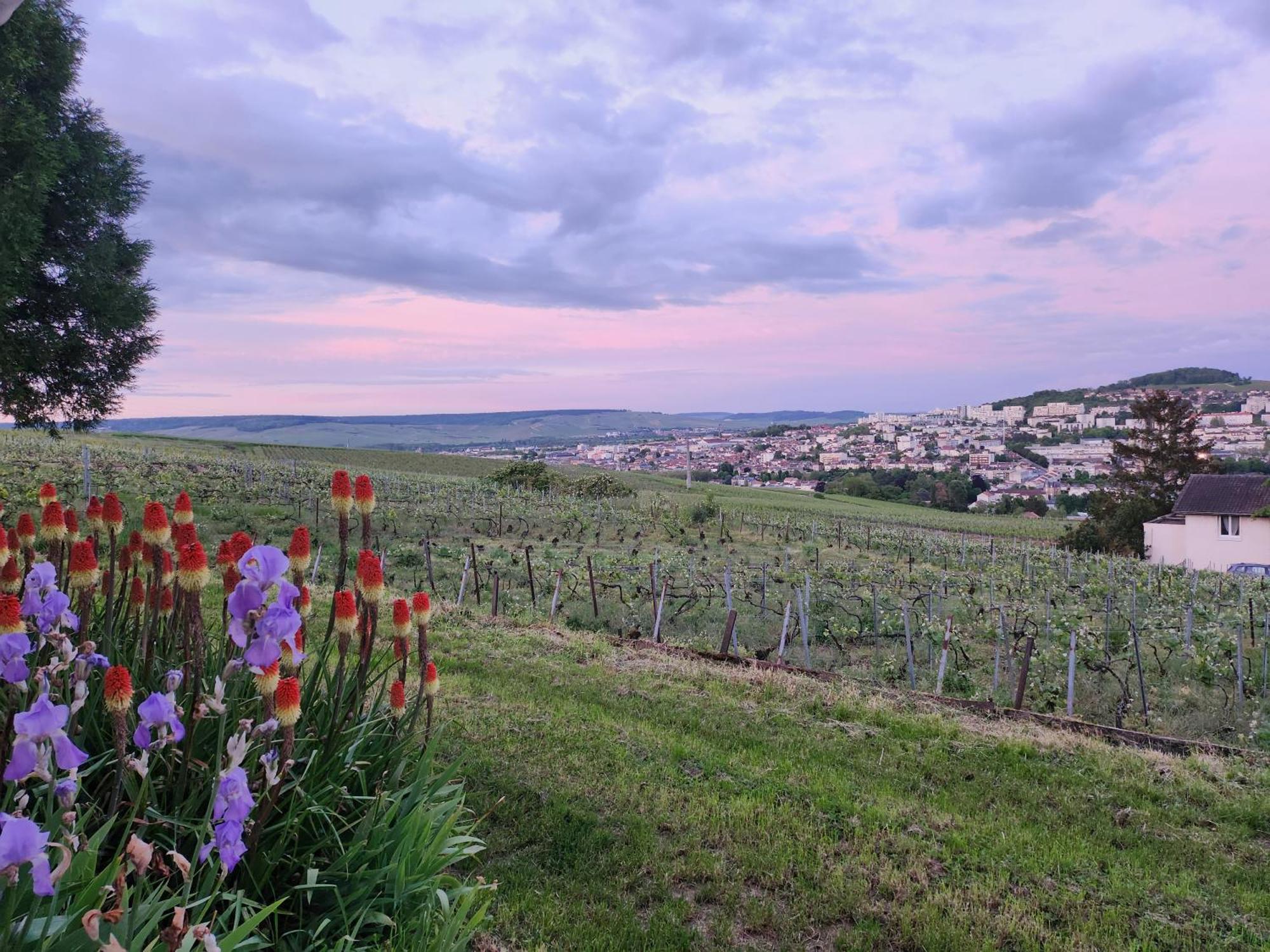 L'Echappee Bulles Lägenhet Épernay Exteriör bild