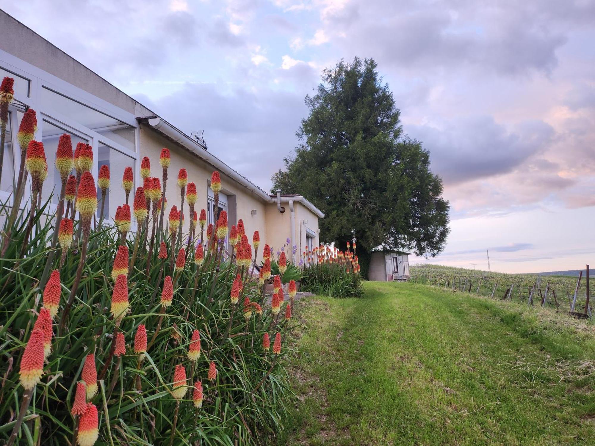 L'Echappee Bulles Lägenhet Épernay Exteriör bild